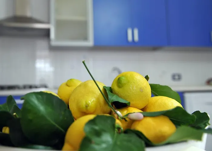 Cala Bernardo 2 Calabernardo